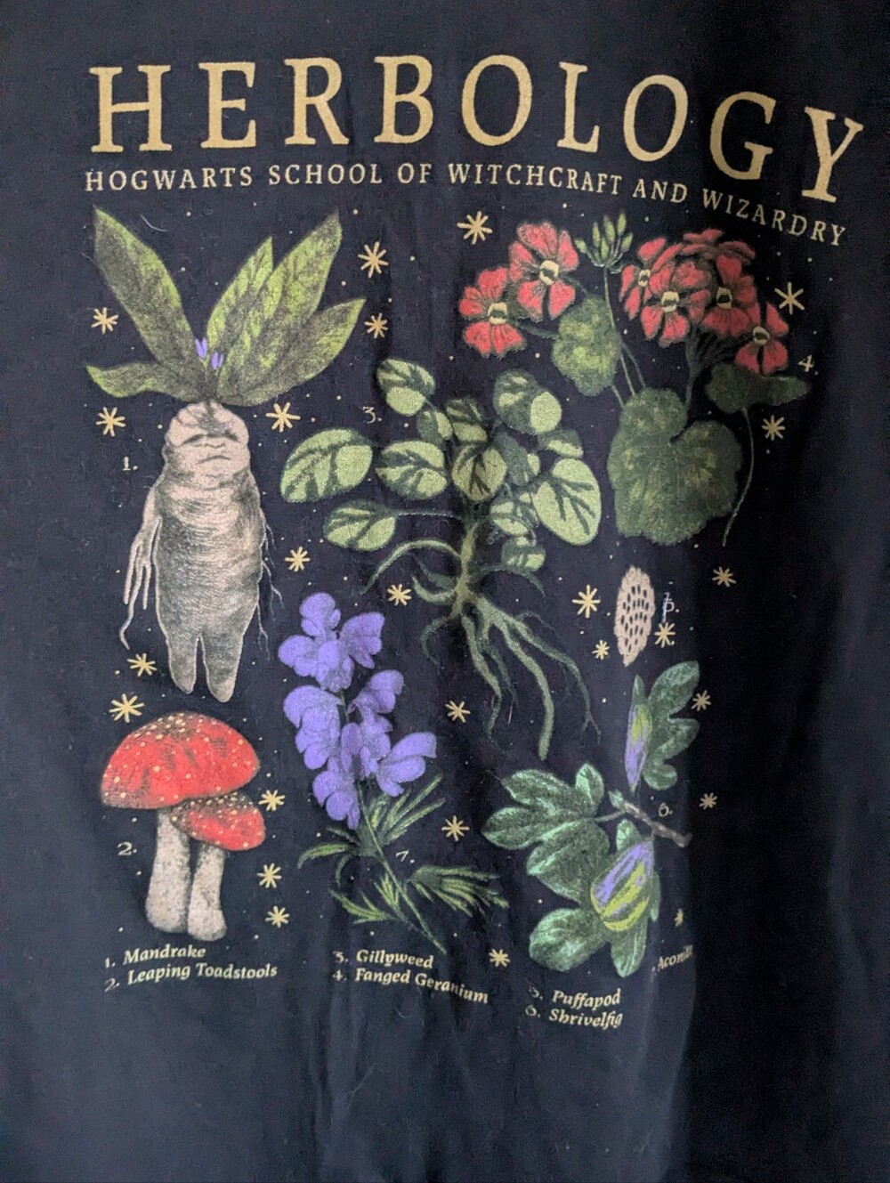Harry Potter T-shirt Black Herbology Medium